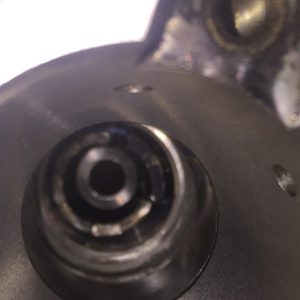 spinde_konik